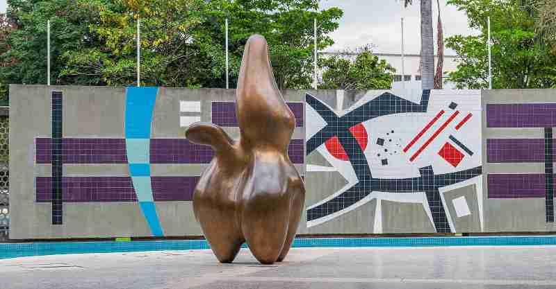 Image représentant la conférence  La vie des formes selon Hans Arp