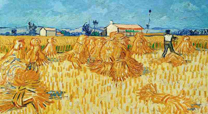 Image représentant la conférence  Van Gogh à Arles
