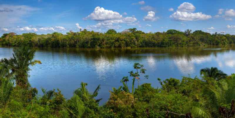 Image représentant la conférence  Peuples et traditions d'Amazonie, entre mythes et réalité