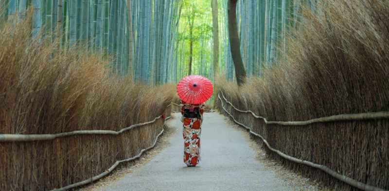 Image représentant la conférence  Le monde secret des Geishas