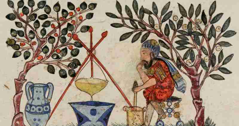 Image représentant la conférence  La longue histoire des plantes médicinales, partie II : l'Antiquité