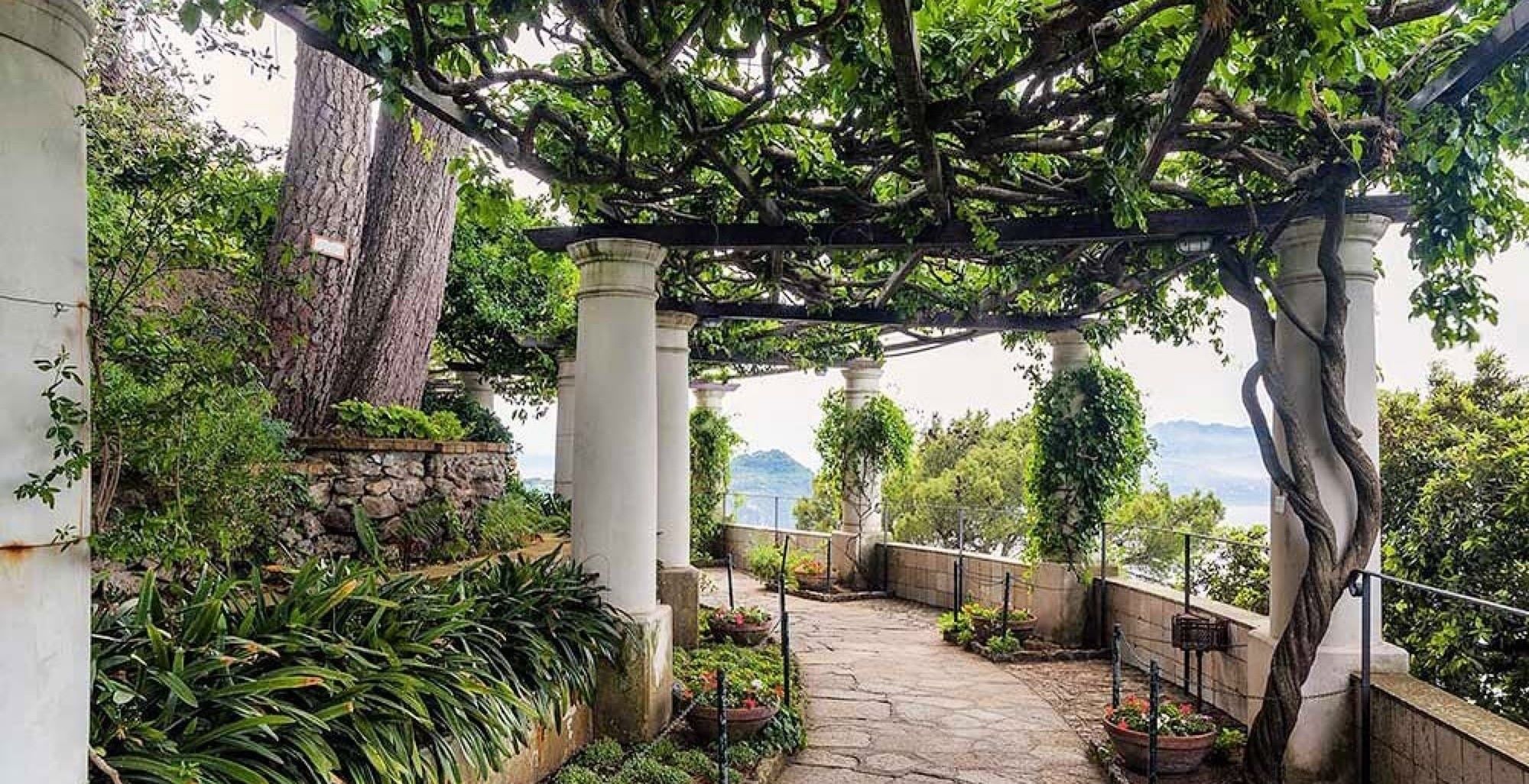 Image représentant la conférence  La Villa San Michele à Capri, le rêve d'un esthète