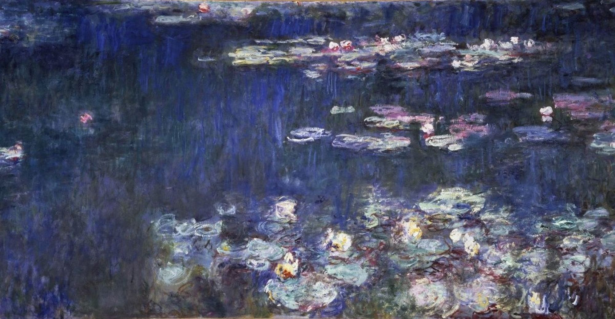 Image représentant la conférence  Paysage d’eau. Les nymphéas de Monet à l’Orangerie