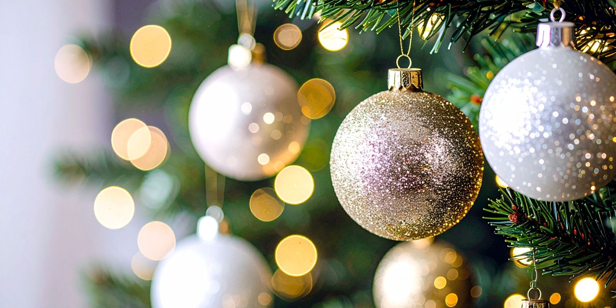 Image représentant la conférence  Le Sapin de Noël : histoire, traditions et créations d’exception