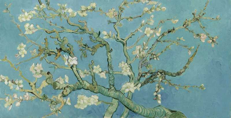Image représentant la conférence  Van Gogh et le Japon : histoire d'une passion