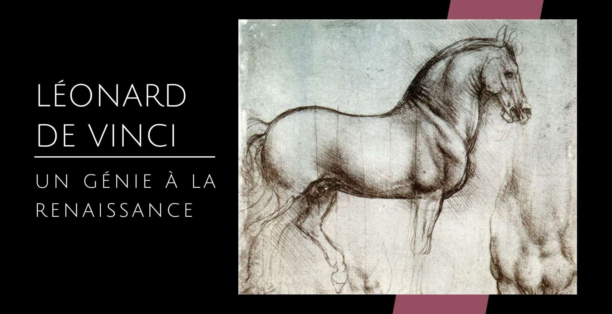 Image représentant la conférence  Léonard de Vinci, théoricien de l’art