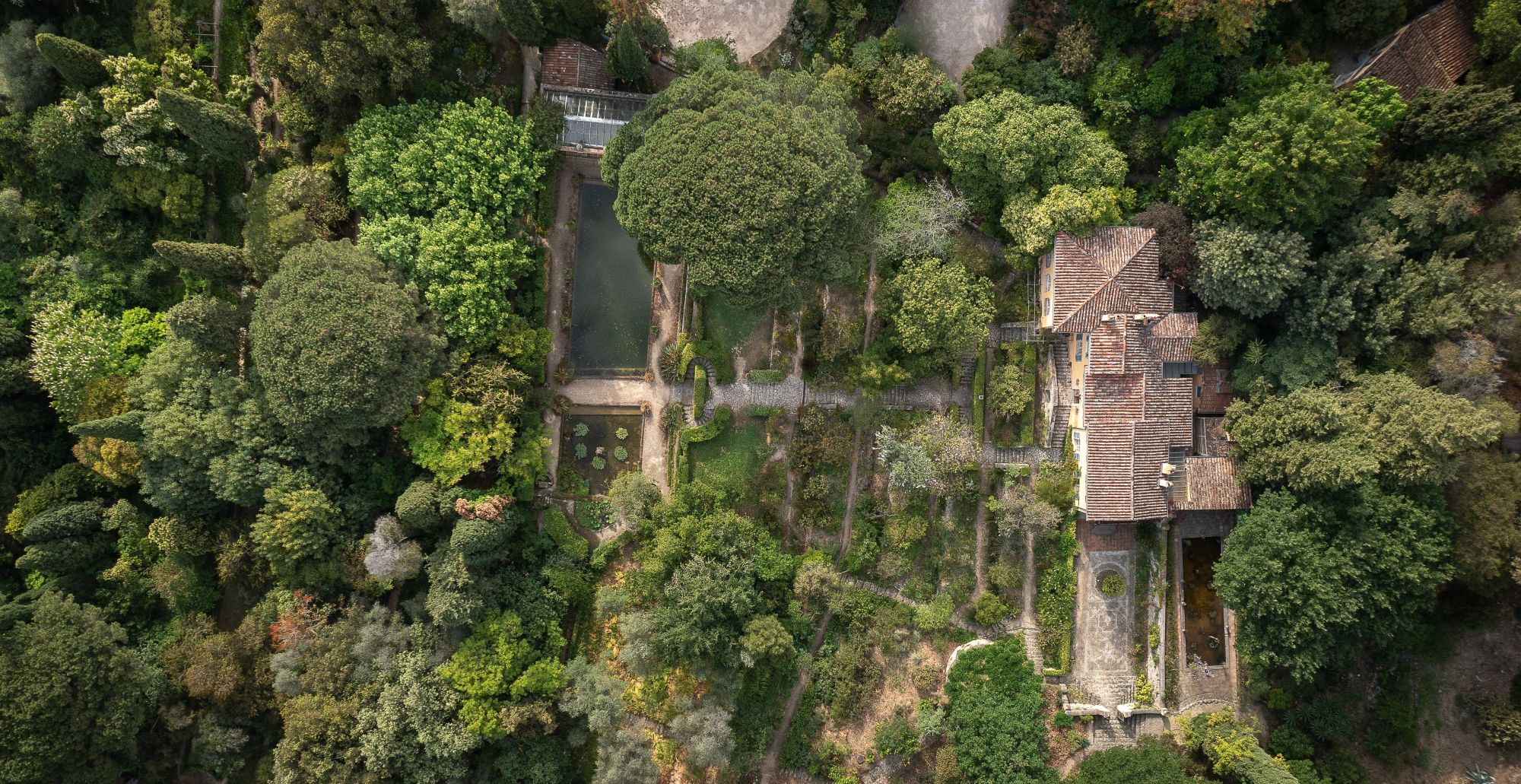 Image représentant la conférence  Les jardins de la Côte d’Azur