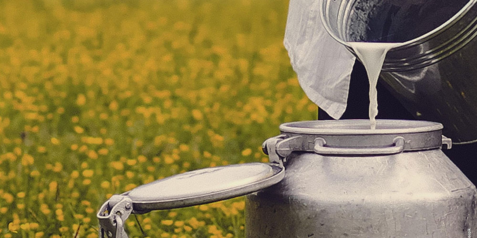 Image représentant la conférence  Le Parcours du Lait du XIXeme siècle à nos jours - de la ferme au consommateur