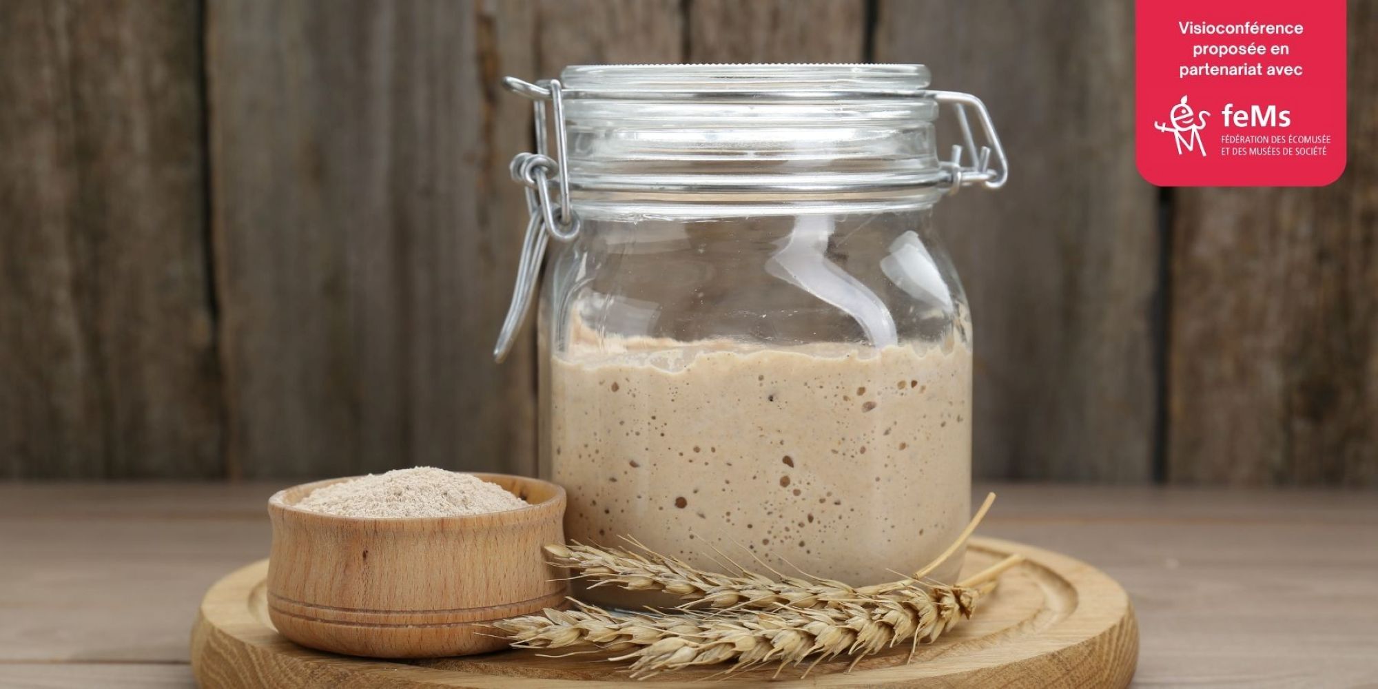 Image représentant la conférence  Une histoire de la fermentation, du vin au fromage en passant par le pain