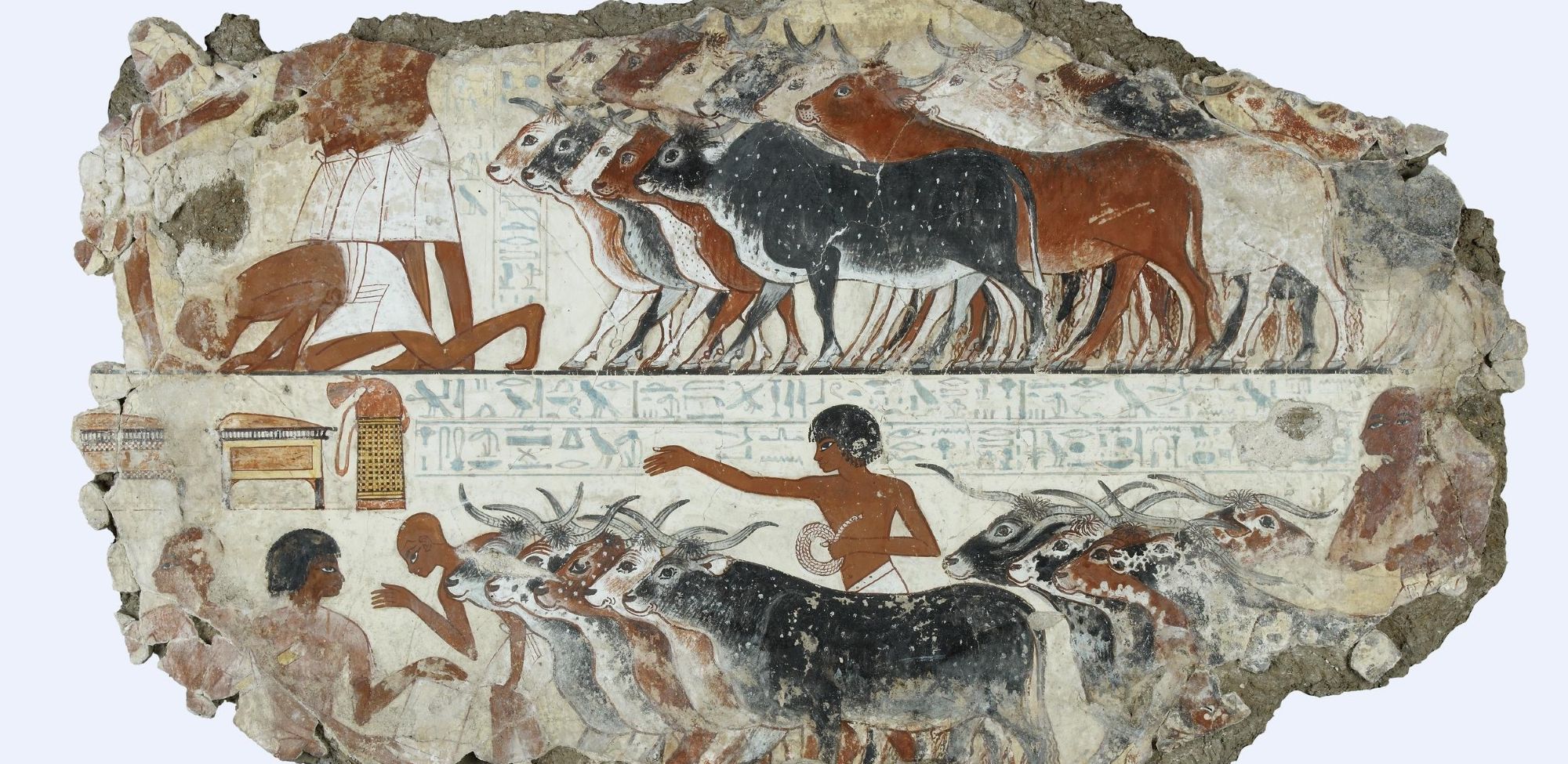Image représentant la conférence  Proies et familiers en Égypte Ancienne : la faune des bords du Nil