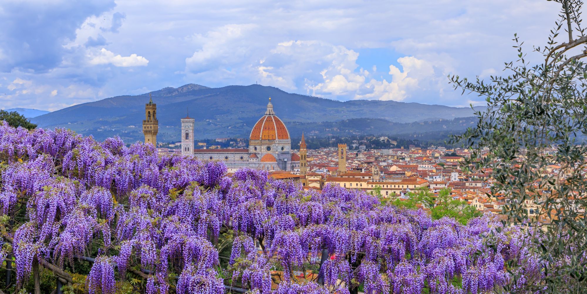 Image représentant la conférence  Les plus beaux jardins de Florence