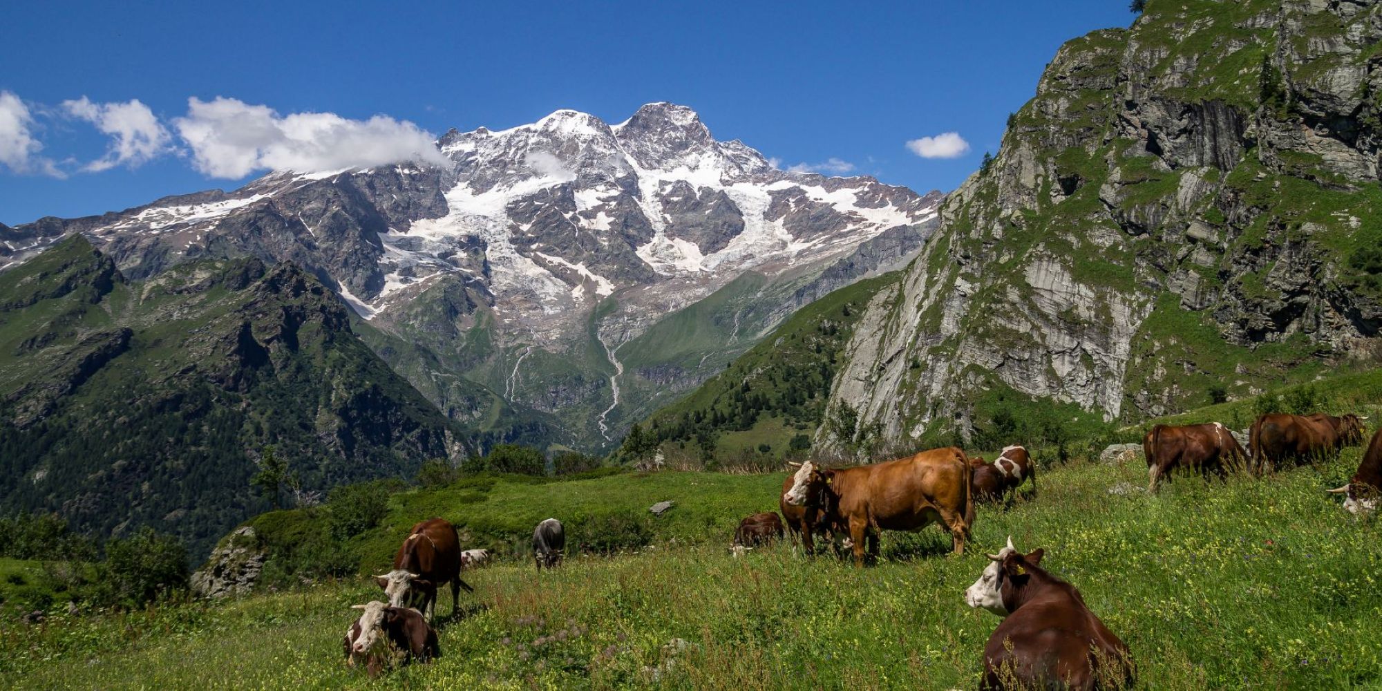 Image représentant la conférence  Patrimoine alimentaire alpin : une inscription au Registre des bonnes pratiques de l'UNESCO